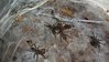 20151110_032314.jpg