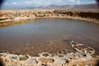 yemen-socotra.jpg