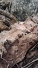 20170326_195036.jpg 20170326_195036.jpg