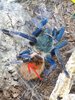20170330_234615.jpg 20170330_234615.jpg