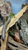 20170419_114054.jpg 20170419_114054.jpg