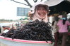 Fried-Spiders-by-Mat-Connolley-Matnkat.jpg
