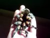 smithi06.jpg