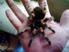 smithi07.jpg