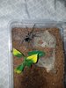 20170630_232508.jpg