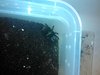 IMG_20170721_222231.jpg