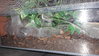 20170724_175601.jpg
