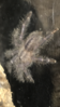 IMG_6543.PNG