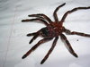 DSCN0905.JPG