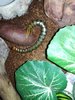 IMG_20170601_221911.jpg