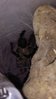 IMG_20170811_020205387.jpg