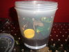DSC00006.JPG