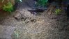 20170822_131521.jpg