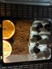IMG_20170828_164610.jpg