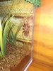 IMG_20170829_072748.jpg