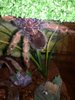 IMG_20170831_181015.jpg
