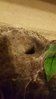 thumbnail_20170426_195002.jpg