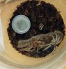20171004_224156~2.jpg