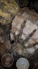 20170514_152249.jpg