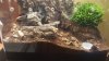 20170930_212048.jpg