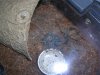 DSCN0974.JPG