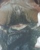 20171125_175024.jpg
