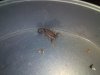 IMG_20171120_095913.jpg