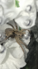 IMG_0223.PNG IMG_0223.PNG