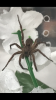 IMG_0222.PNG IMG_0222.PNG