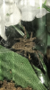 IMG_0225.PNG IMG_0225.PNG