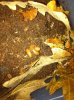 IMG_0718.JPG IMG_0718.JPG