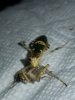 20180210_172357.jpg