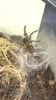 5C9E7551-34F1-416F-B142-D4EA686E3C7F.png