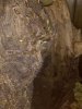 IMG_20171117_000509985.jpg