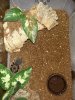 IMG_20180226_161317.jpg