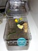 GBB_new enclosure2.jpg