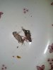 20180416_191551.jpg