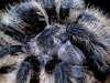 DSCF6191.jpg