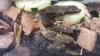 20180428_221949.jpg