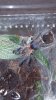 20180501_201547.jpg