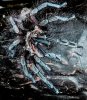 P machala Persephone molted 3.jpg
