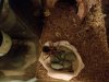 20180413_083645.jpg