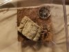 20180512_203813.jpg