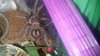 20180513_135520.jpg