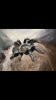 07EE34AC-BFEB-4F6B-937A-70CFDF9E9530.png