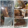 CollageMaker_20180517_121539693.jpg