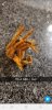 Screenshot_20180523-205449_Snapchat.jpg