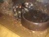 IMG_20180604_163856.jpg