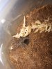 20180606_215228.jpg