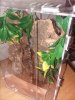 20180607_222103.jpg